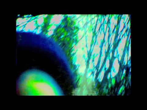 Anthroprophh - Precession