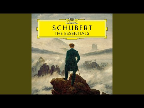 Schubert: Rosamunde, D. 797: No. 5, Entracte 3 in B-Flat Major. Andantino