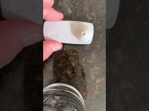 SIMPLE removal of a security tag with a Neodymium MAGNET!!!!