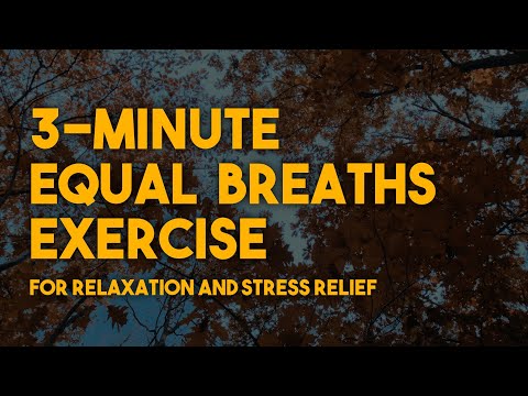 Relax Your Breath - 3-Minute Equal Breathing Exercise for Beginners