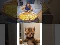 BENEFITS OF PIZZA Pizza Italy Italianfood Italianpizza Girl Food Shorts Memes Foryou