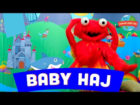 Rymdkaninen - Baby haj