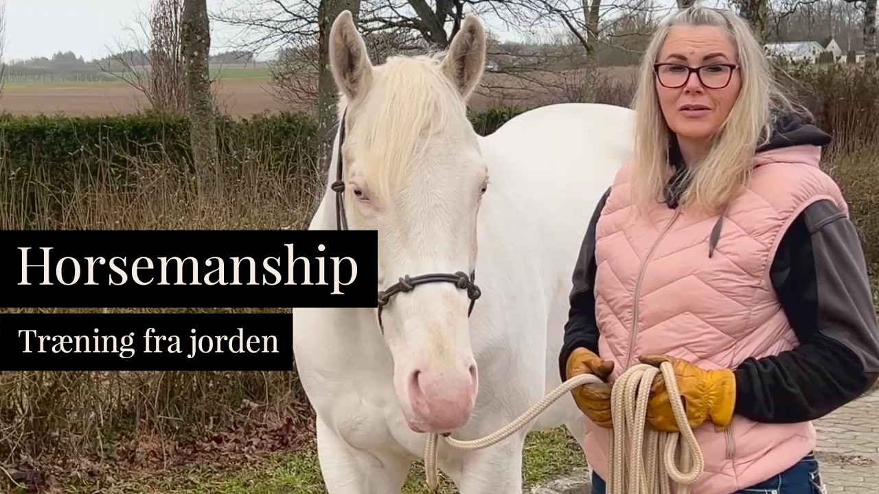 Hvad er horsemanship? Forstå din hest bedre