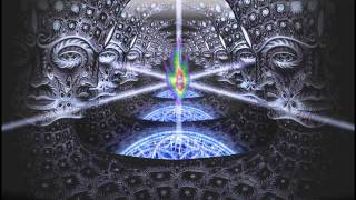 Terence McKenna - How Evolution Occurs - 1984