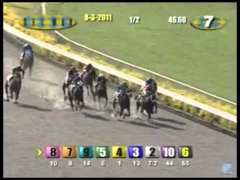2011 Graduation Stakes