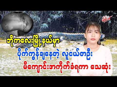 ဘိုကလေမြို့နယ်မှာ ပိုက်ကွန်ချနေတဲ့ လူငယ်တဦး မိကျောင်းအကိုက်ခံရကာ သေဆုံး