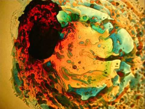 Disco Biscuits- Home Again Backtrack