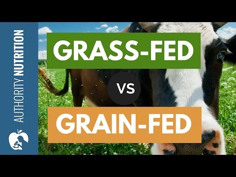 Is Grass-Fed Beef Really Healthier Than Grain-Fed?