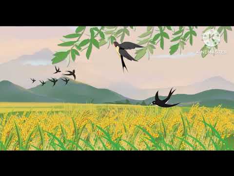 Xuân - Cảnh Hoàng