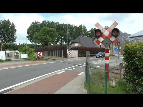 Spoorwegovergang Balgerhoeke/ Passage a Niveau/ Railroad-/ Level Crossing/ Bahnübergang
