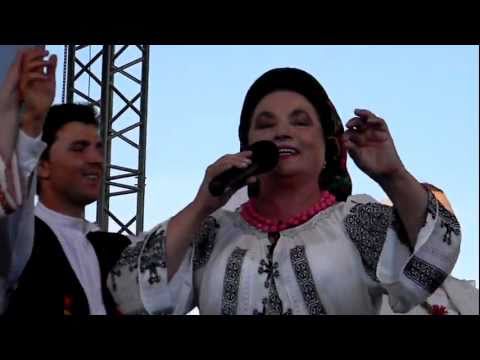 LAURA LAVRIC-HAI ROMANI DE PESTE SATE