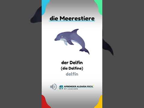 die Meerestiere 🦈🐳🐬🐙 - vocabulario alemán