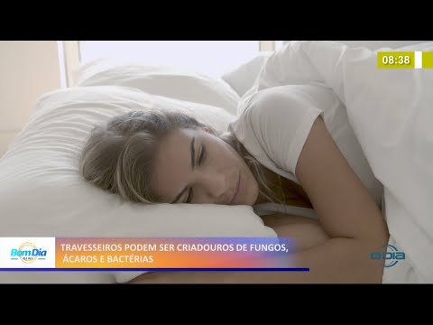 Travesseiros podem ser criadouros de fungos, ácaros e bactérias 13 04 2021