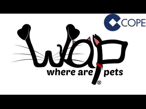 Videos from Where Are Pets