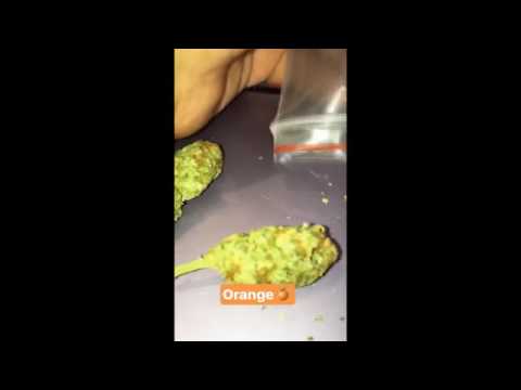 Prévia da música nova do Costa Gold -PREDELA