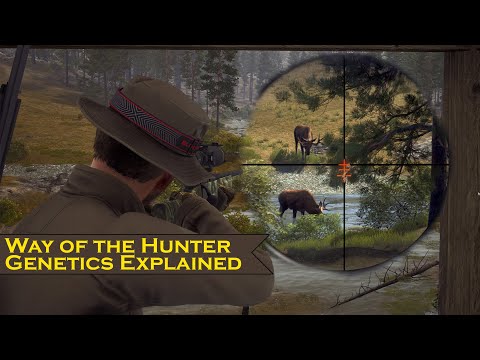 Way of the Hunter Genetics Explained: Key of the Herd Management