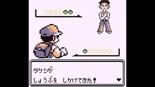 【初代】全カントージムリーダー【赤青緑/ポケモン】