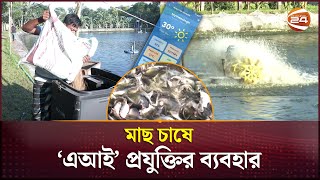 এআই প্রযুক্তিতে মাছ চাষ, বাড়বে উৎপাদন ও গুণগত মান
