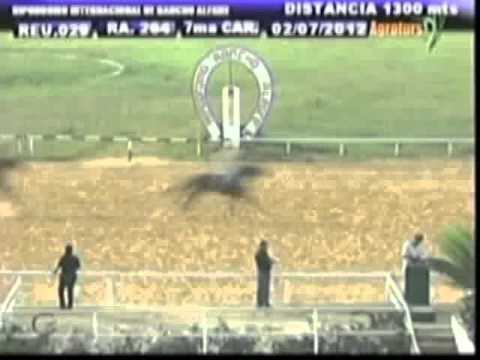 Resumen Lunes, 02 de Julio de 2012 - Rancho Alegre