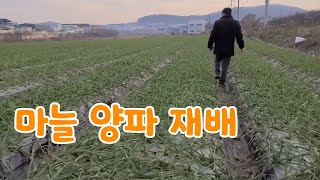 마늘.양파 의무자조금 간단하게 가입 방법