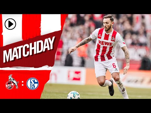 Matchday: Der FC trifft im Heimspiel auf Schalke 🔴⚪️