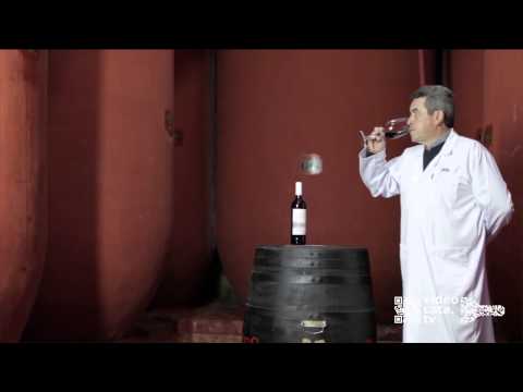 download lagu mp3 mp4 Vdt Wine, download lagu Vdt Wine gratis, unduh video klip Vdt Wine