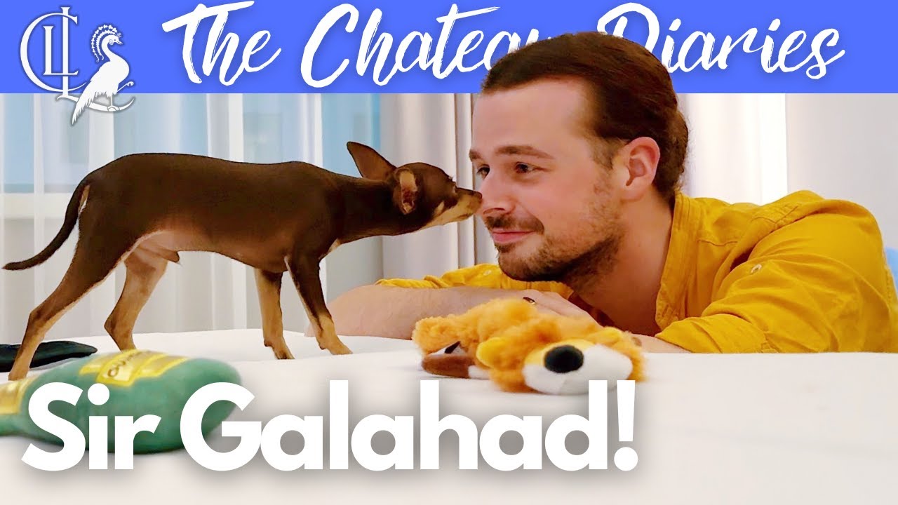 Lancelot's Successor has Arrived!