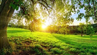 Download lagu 3 HOURS Best Relaxing Music 'Romantic Piano' Background Music for Stress Relief, Therapy, Love mp3