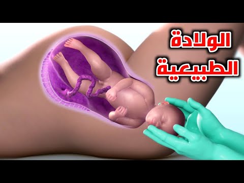 شاهد الولادة الطبيعية من البداية لنهاية natural childbirth from start to finish