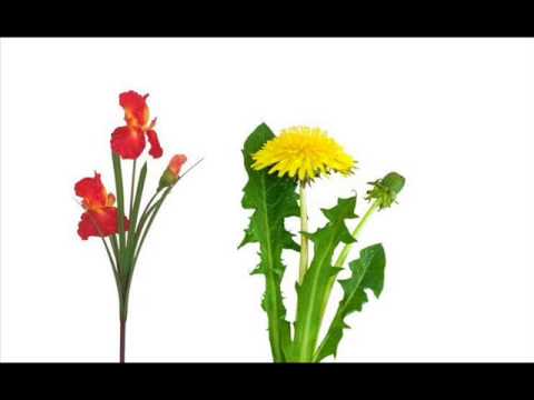 Helgi Björnsson & Ragnhildur Steinunn - Sumarást (Soundtrack) [2007] [HQ]