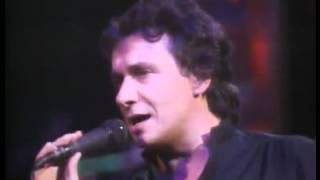 Michel Sardou   Vivant 83   Les années 30