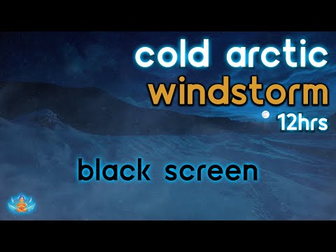 [Black Screen] Cold Arctic Windstorm | Deep Howling Wind | Wind Sounds for Sleeping