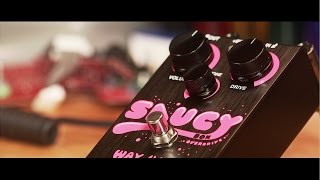 Way Huge Saucy Box Overdrive: Complete Overview (Humbuckers & Single Coils)