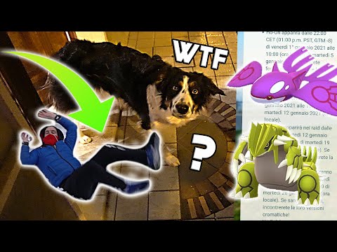 La prima neve di LANA! Vlog notturno + news eventi di fine anno!