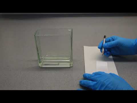 Durchführung einer Dünnschichtchromatographie