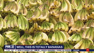 Jewel-Osco, Fresh Del Monte attempt to break world record for largest fruit display