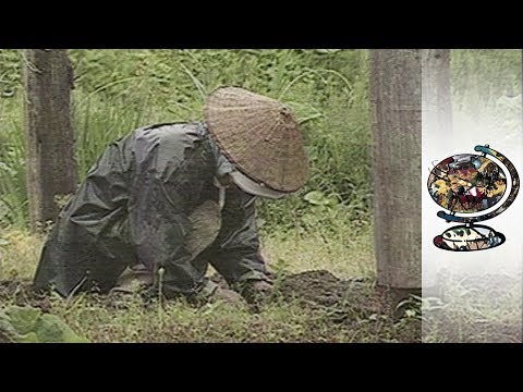 The Pastoral Way of Life in Japan is Dying