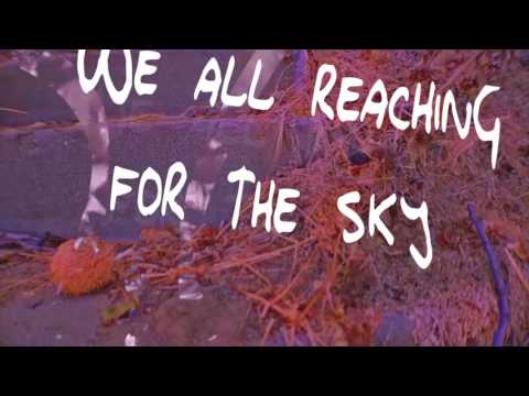 So Drove- Get Ya Shine On (feat. CupcakKe, Kreayshawn & TT The Artist) (OFFICIAL LYRIC VIDEO)