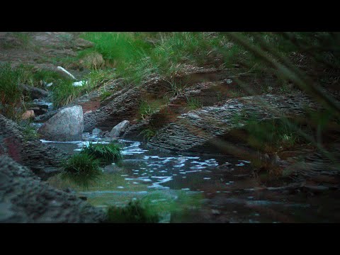 Nikon D3200 | Frühlingsfotografie | Sonnenuntergang | Riesige Quellen