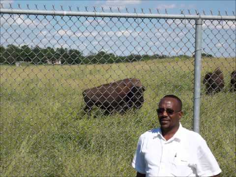 SOONOY MACA YOK WAYTA?.mp4/ AFAR SONG/ AFAR MUSIC/ETHIOPIA/DJIBOUTI/ERITREA