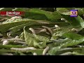 Raithu Nestham Dt 25 11 2019