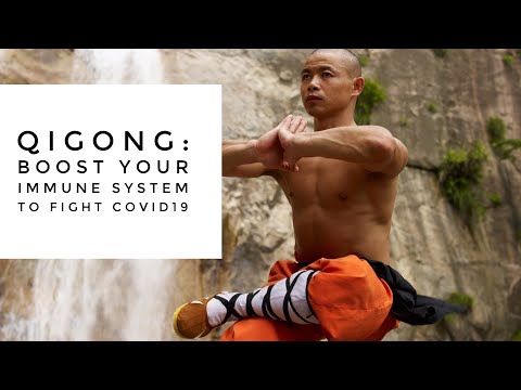 Qigong: Boost Your Immune System to Fight Covid19