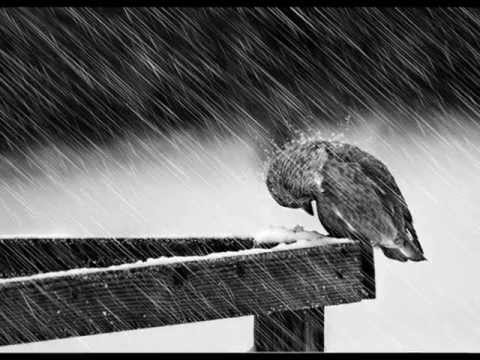 Zbigniew Preisner ~ conte d'amour