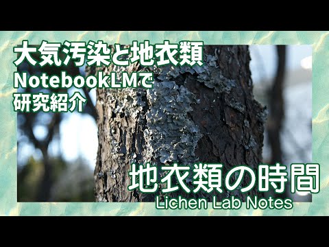 大気汚染と地衣類 (2025年5月)