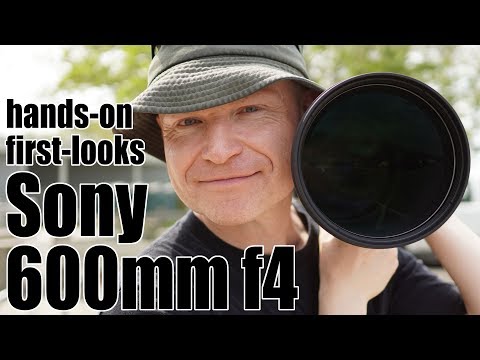 External Review Video EjM6LxMju9c for Sony FE 600mm F4 GM OSS Full-Frame Lens (2019)