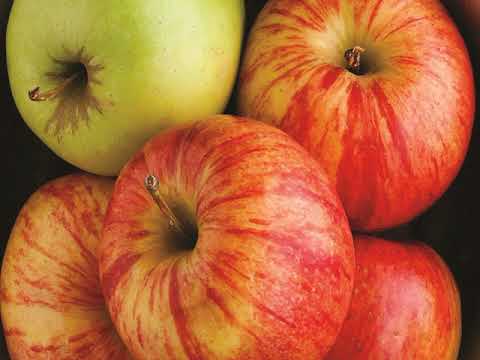 La Quinta Inn & Suites Atlanta Alpharetta - Alpharetta (Georgia) - United States