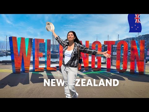 New Zeland trip: I Finally Visited Wellington and It Blew My Mind