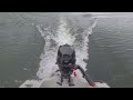 Mercury 3.5 On a Pond Prowler 10