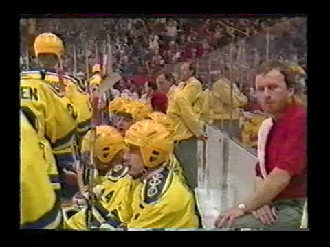 World Cup 1989. USSR - SWEDEN (01.05.1989, Final for 1-4 places)