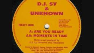 SY & UNKNOWN  -  MOMENTS IN TIME